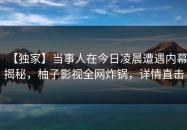【独家】当事人在今日凌晨遭遇内幕揭秘，柚子影视全网炸锅，详情直击