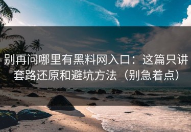 别再问哪里有黑料网入口：这篇只讲套路还原和避坑方法（别急着点）