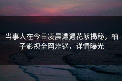 当事人在今日凌晨遭遇花絮揭秘，柚子影视全网炸锅，详情曝光