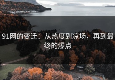 91网的变迁：从热度到凉场，再到最终的爆点