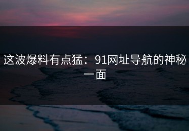 这波爆料有点猛：91网址导航的神秘一面