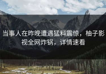 当事人在昨晚遭遇猛料震惊，柚子影视全网炸锅，详情速看