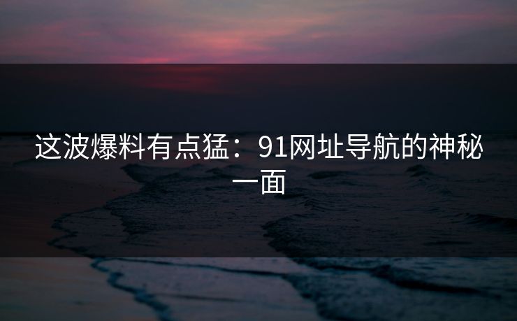 这波爆料有点猛：91网址导航的神秘一面
