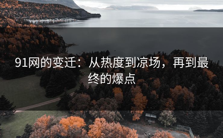 91网的变迁：从热度到凉场，再到最终的爆点